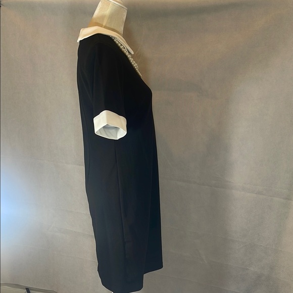 Elegant Black and White Dress - Picture 7 of 10